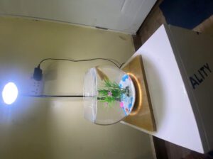 In-Wall Glass Aquarium 200L – Built-in Freshwater Fish Tank (Brand New Custom Design)