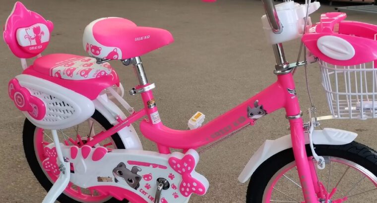 Li-Link Princess Girls Bicycle 16” | Kids Bike with Training Wheels & Basket | Pink