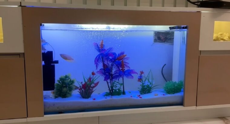 TV Console Aquarium 50L Glass Fish Tank – Modern Decorative Freshwater Aquarium (Brand New)