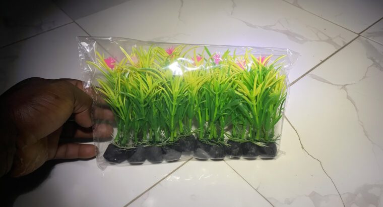 Aquarium Plants for Fish Tanks & Bowls – Decora...