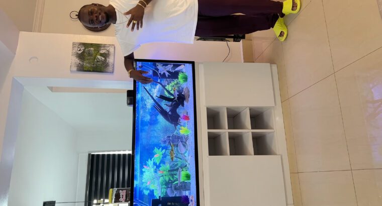 4ft x 2ft Standalone Freshwater Aquarium – Complete Glass Tank with Filter, Accessories & 10 Fish
