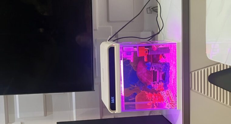 12-Liter Nano Imported Aquarium Tank – Glass Square Freshwater Setup with Lighting & Decorations