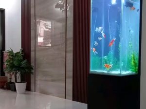 4ft Standalone Aquarium – Complete Freshwater Glass Tank with Filter, Backlight & Accessories