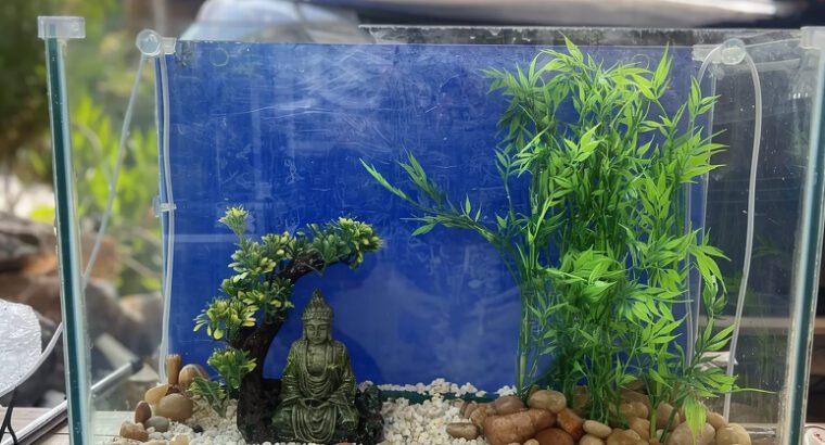 2ft Aquarium Tank (25L) – Glass Freshwater Fish Tank with Backlight & Decorations