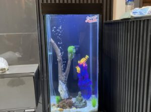 120L Standing Freshwater Aquarium – Glass Tank with Stand, Backlight & Accessories