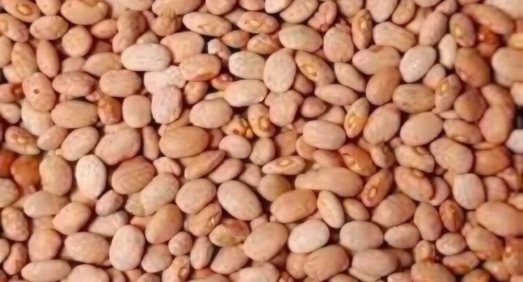 Clean Dried Beans Flour – Washed & Dehydrated for Moi Moi and Akara