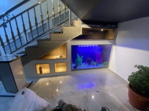 Under-Stairs Glass Aquarium 400L – Custom Square Freshwater Fish Tank (Brand New)