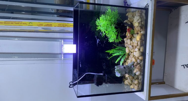 Mini Table Top Glass Aquarium 25L – Compact Square Freshwater Fish Tank (Brand New)
