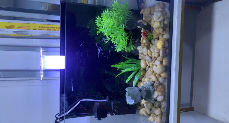 Mini Table Top Glass Aquarium 25L – Compact Square Freshwater Fish Tank (Brand New)