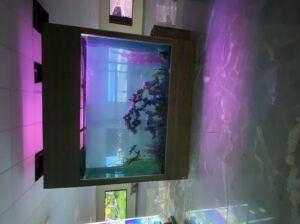 Massive 2500L Glass Aquarium Tank – Large Square Freshwater Fish Tank (Brand New, Heavy Duty)