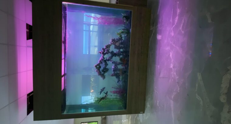 Massive 2500L Glass Aquarium Tank – Large Square Freshwater Fish Tank (Brand New, Heavy Duty)