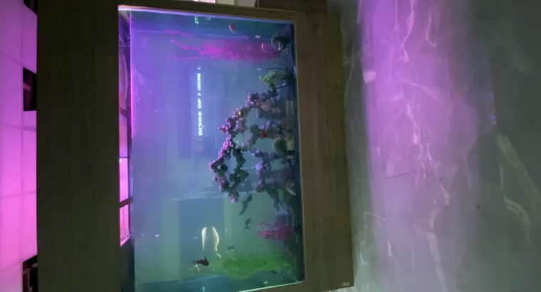 Massive 2500L Glass Aquarium Tank – Large Square Freshwater Fish Tank (Brand New, Heavy Duty)