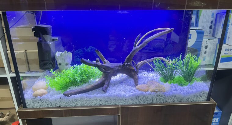 Ready Made Glass Aquarium 80L – Large Freshwater Fish Tank (Brand New, Durable Design)