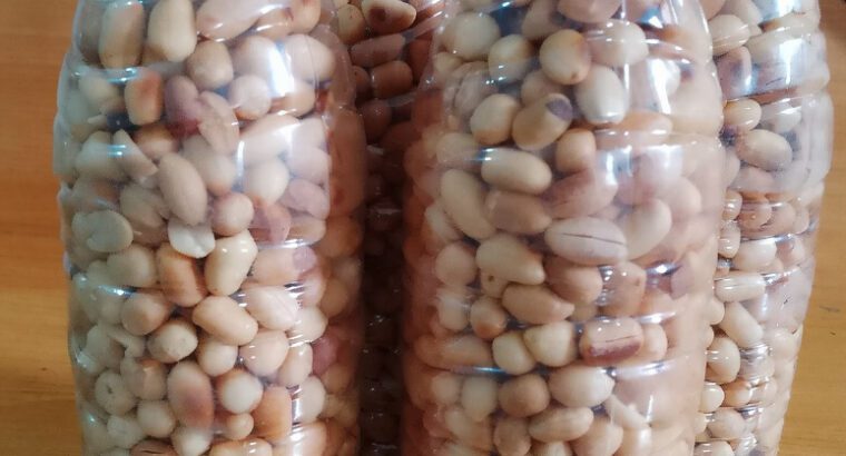 Well-Fried Groundnuts – Crunchy, Protein-Rich & Nutritious Snack