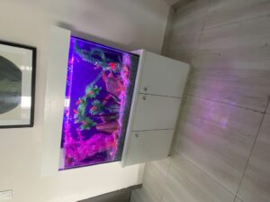 Standing Aquarium with Stand 160L Glass Fish Tank – Square Freshwater Aquarium (Brand New)