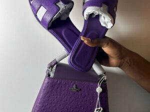 Swiss Polo Luxury Shoes & Handbags – Women’s Faux Leather, Multicolor