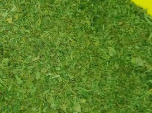 Dried Ewedu Leaf (Jute Leaf) – Nutrient-Rich, Washed & Dehydrated Superfood