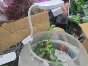 Fish Bowl LED Light for Aquarium – Decorative Aquarium Lighting for Fish Bowls