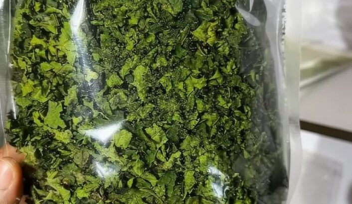 Dried Ugu Leaf (Fluted Pumpkin) – Washed & Dehydrated, Iron-Rich Superfood