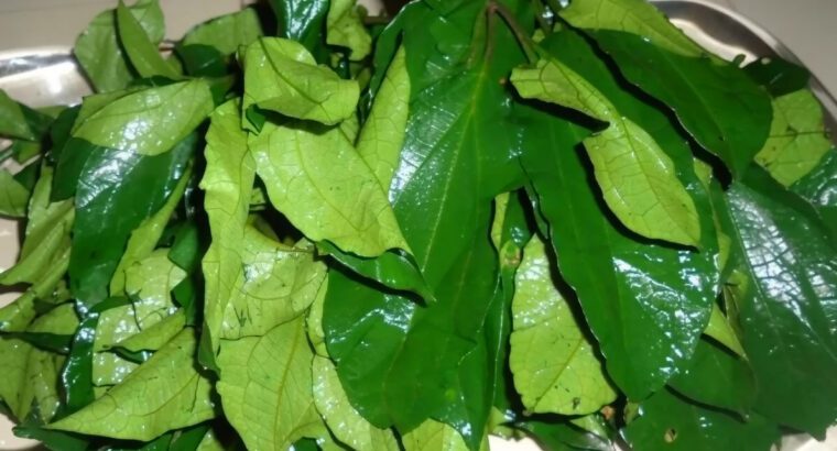 Dried Ugu Leaf (Fluted Pumpkin) – Washed & Dehydrated, Iron-Rich Superfood
