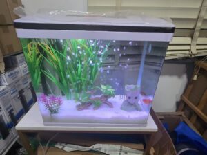 Imported Glass Aquarium 42L for Freshwater Fish – Durable Tank, Brand New Condition