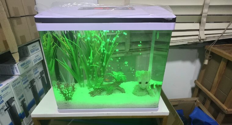 Imported Glass Aquarium 42L for Freshwater Fish – Durable Tank, Brand New Condition