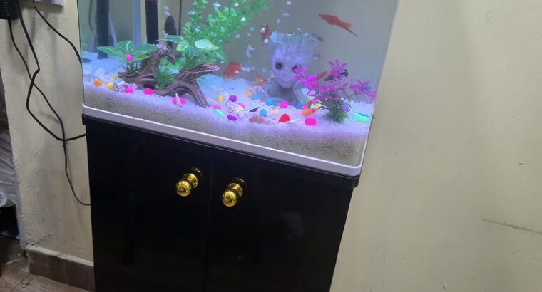 Standing Imported Glass Aquarium 42L – Stylish Freshwater Fish Tank (Brand New)