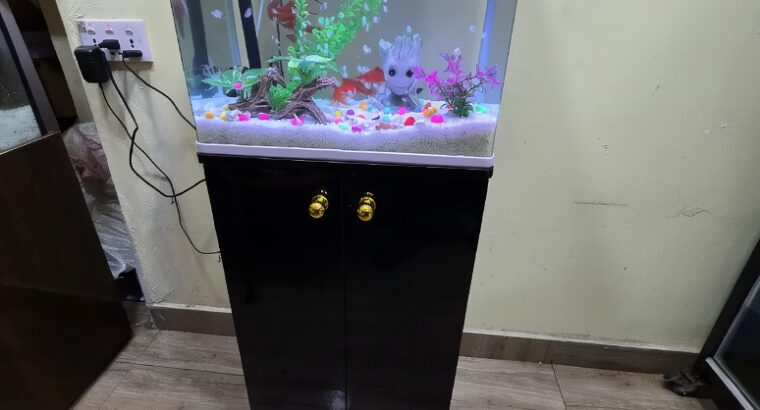 Standing Imported Glass Aquarium 42L – Stylish Freshwater Fish Tank (Brand New)