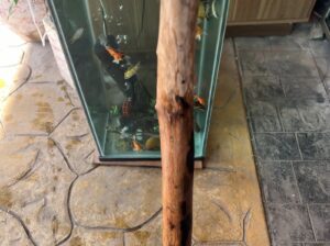Natural Aquarium Driftwood – Fish Shelter & Plant Attachment for Freshwater Tanks