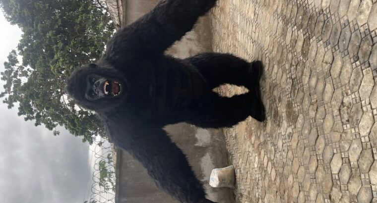 Inflatable King Kong Mascot Costume – Brand New, Big Size
