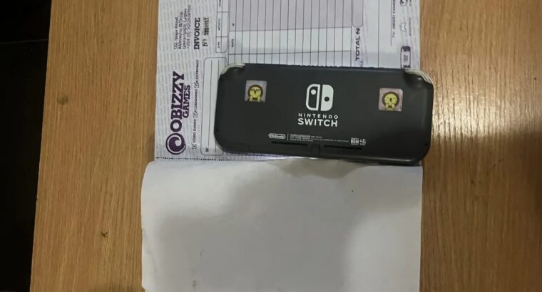 Nintendo Switch Lite Very Neat Nintendo Switch Lite – Used, Portable Gaming Console