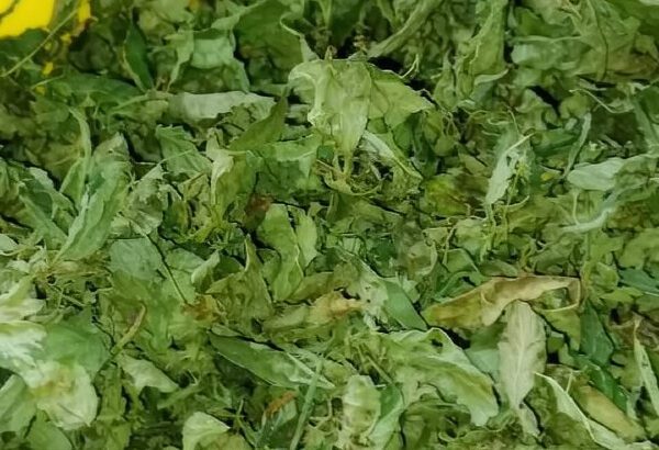 Dried Ewedu Leaf – Low-Calorie Superfood for Weight Loss & Immunity